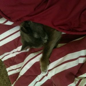 Meet your Posher, Kristina